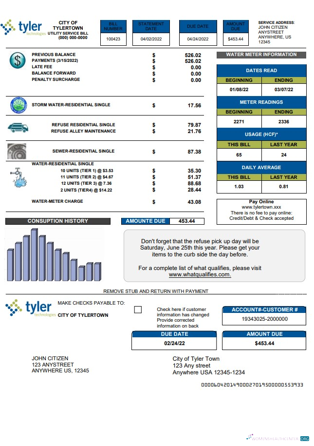 download download USA Tyler Technologies utility bill template in Word and PDF format PDF template PDF template